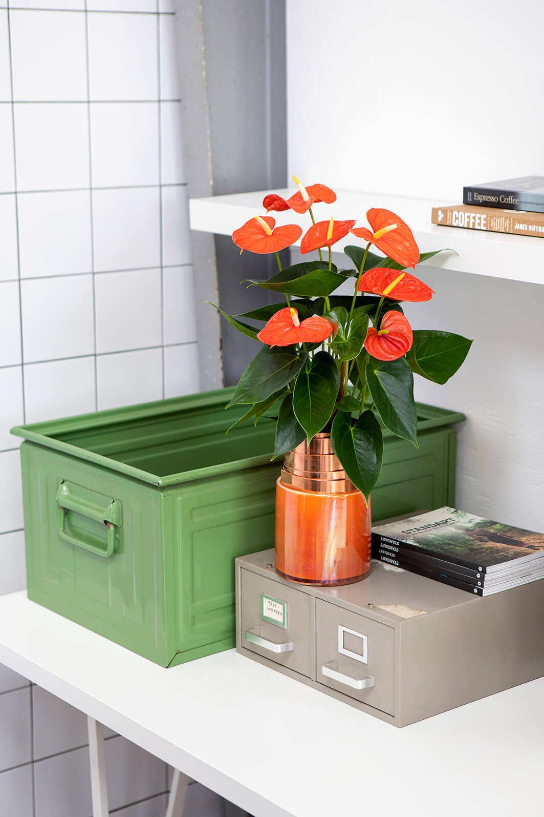 De beste kleuren voor je thuiskantoor in de vorm van bloemen & planten