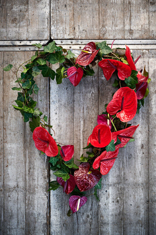 Een rouwstuk met anthurium bloemen