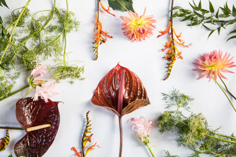 Zo creëer je een herfst interieur met anthurium bloemen