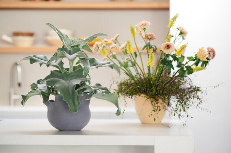 Groenbranche Trends 2025: Slow Life