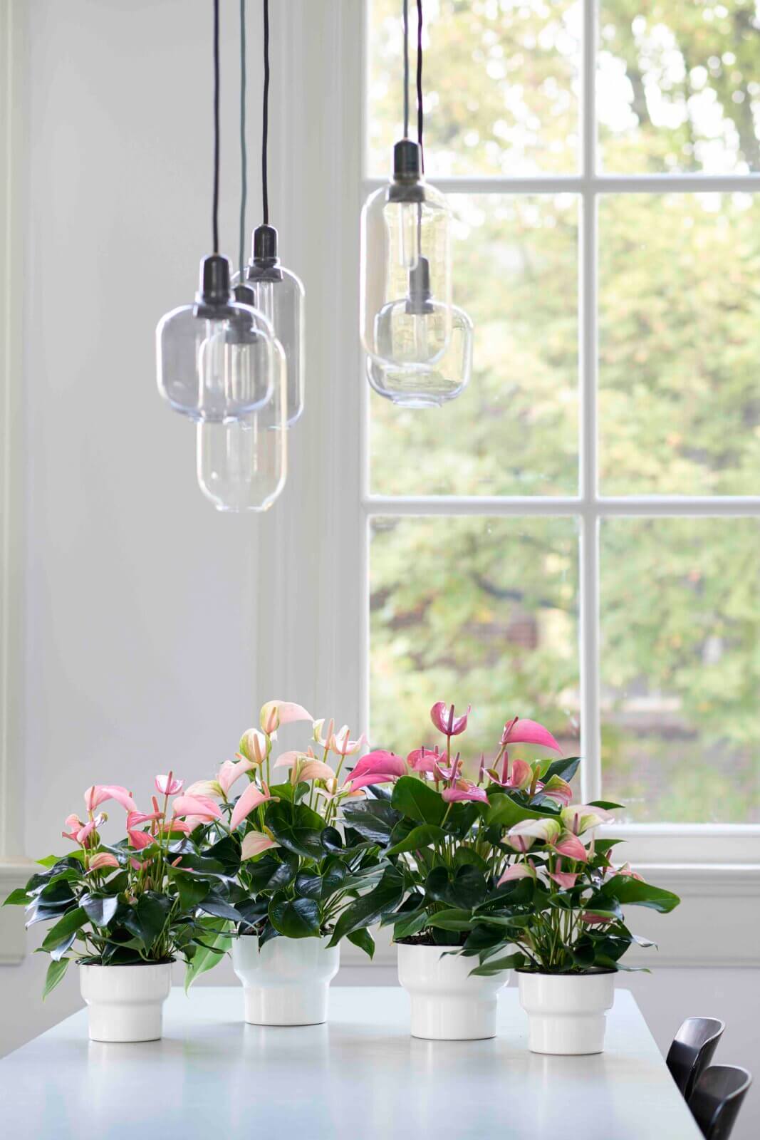 zonder plastic binnenpot